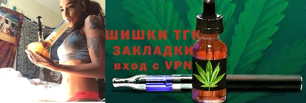 PSILOCYBIN Пересвет