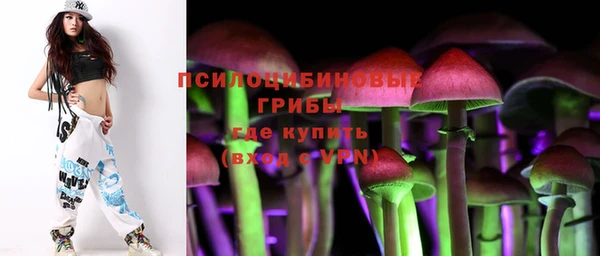 твердый Переславль-Залесский