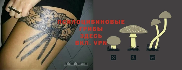 твердый Переславль-Залесский