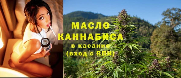 Альфа ПВП Ветлуга